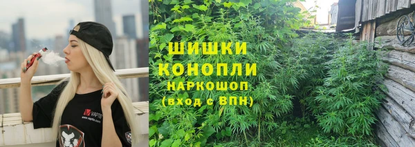 spice Алексин