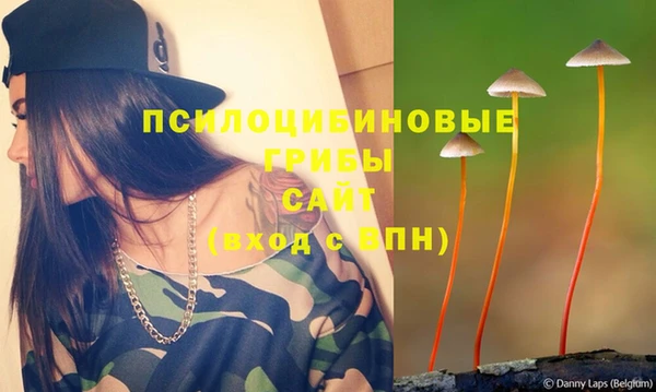 spice Алексин