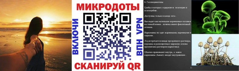 магазин  наркотиков  Гвардейск  Псилоцибиновые грибы мухоморы 